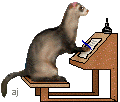 Example badge from the ferrets collection